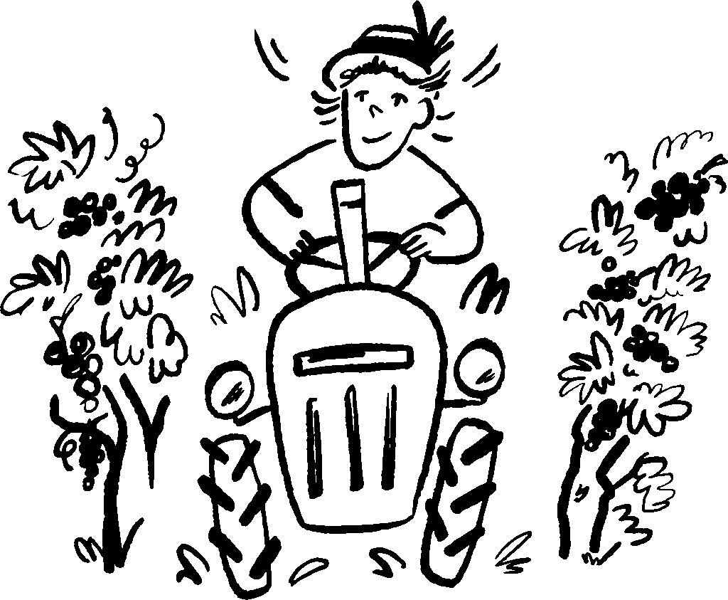 Sieme illustrationen rz 8 web